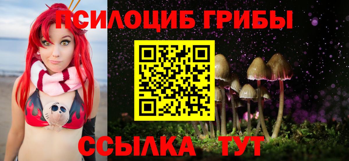 Псилоцибиновые грибы ЛСД  Вход с VPN  закладка  Мелеуз 