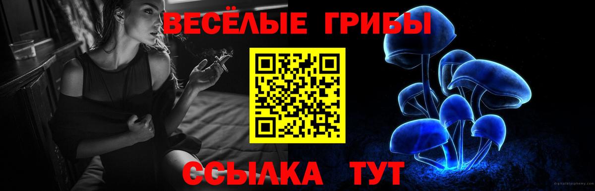Галлюциногенные грибы прущие грибы Мелеуз